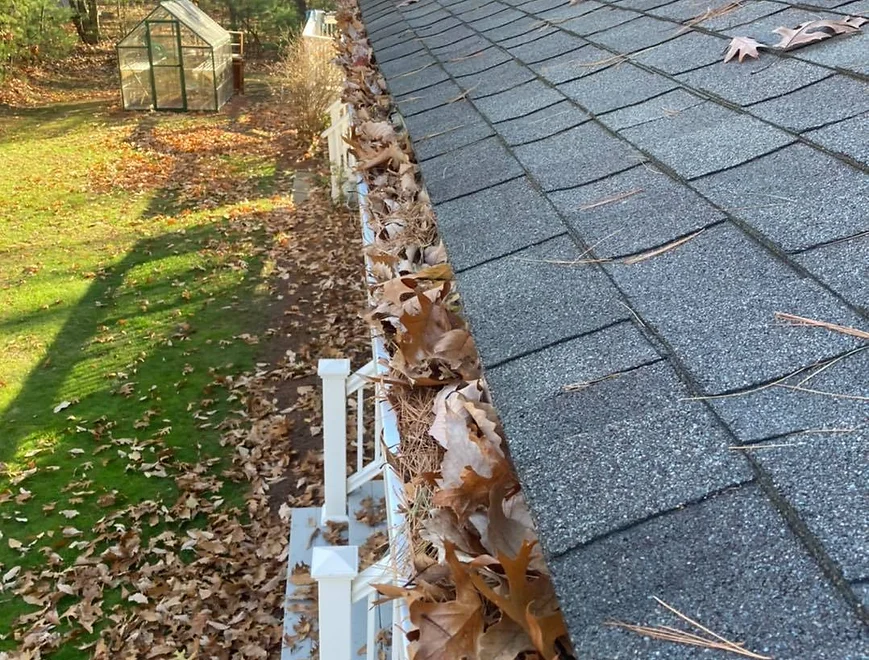 professional local gutter cleaning