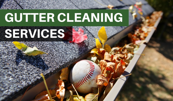 gutter cleaning