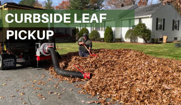 curbside leaf pickup